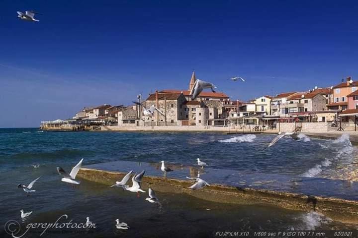 Apartment Ante Ουμάγκ Εξωτερικό φωτογραφία